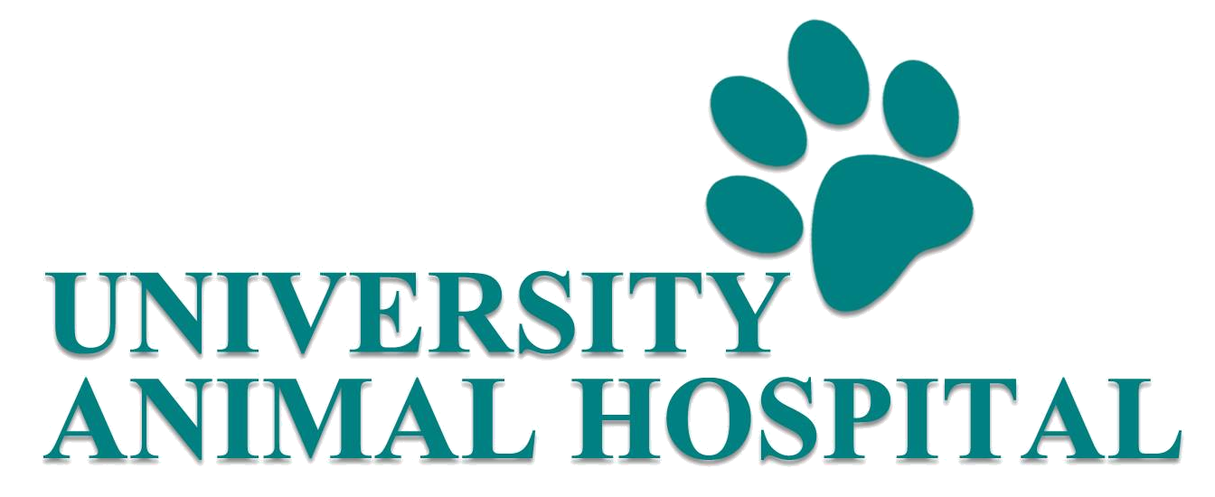 University Animal Hospital, Nassau County, Uniondale, NY Veterinarian